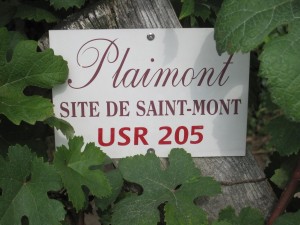 Gascogne -Saint Mont -1